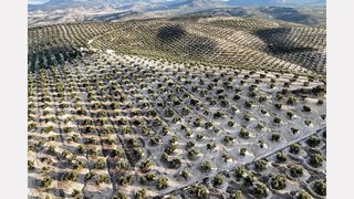 Terreno en venta en Torre del Campo