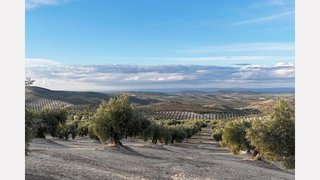 Terreno en venta en Torre del Campo