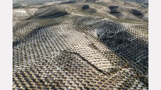 Terreno en venta en Torre del Campo