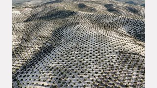 Terreno en venta en Torre del Campo