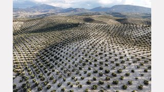 Terreno en venta en Torre del Campo