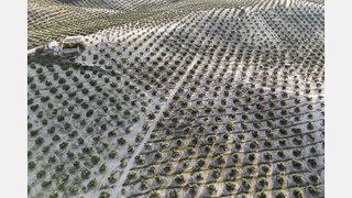 Terreno en venta en Torre del Campo
