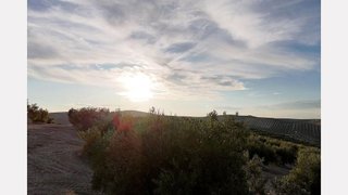 Terreno en venta en Torre del Campo