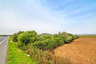 Terreno en venta en Manacor Centro en Manacor