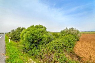 Terreno en venta en Manacor Centro en Manacor