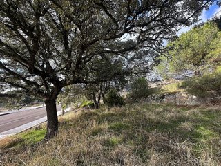 Terreno en venta en Hoyo de Manzanares