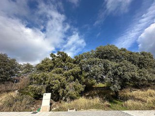 Terreno en venta en Hoyo de Manzanares