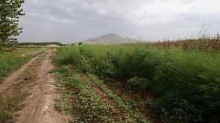 Terreno en venta en Pinos Puente