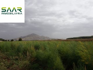 Terreno en venta en Pinos Puente