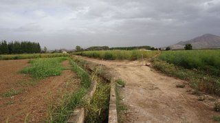 Terreno en venta en Pinos Puente
