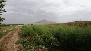 Terreno en venta en Pinos Puente