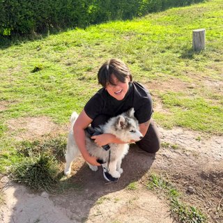 Paseadora y cuidadora de perros