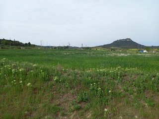 Terreno en venta en Santa Margarida de Montbui
