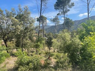 Terreno en venta en Torre de Claramunt, La
