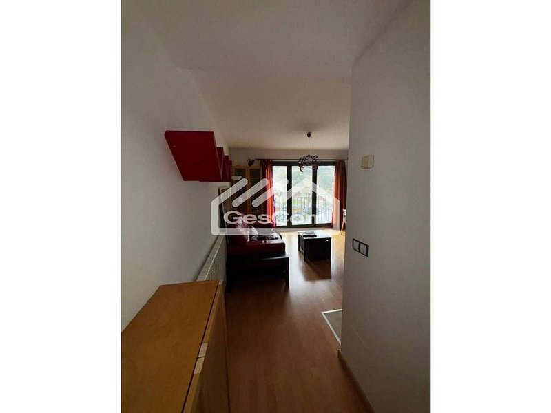 1-bedroom flat seasonal rent in Canillo · 26 of 60