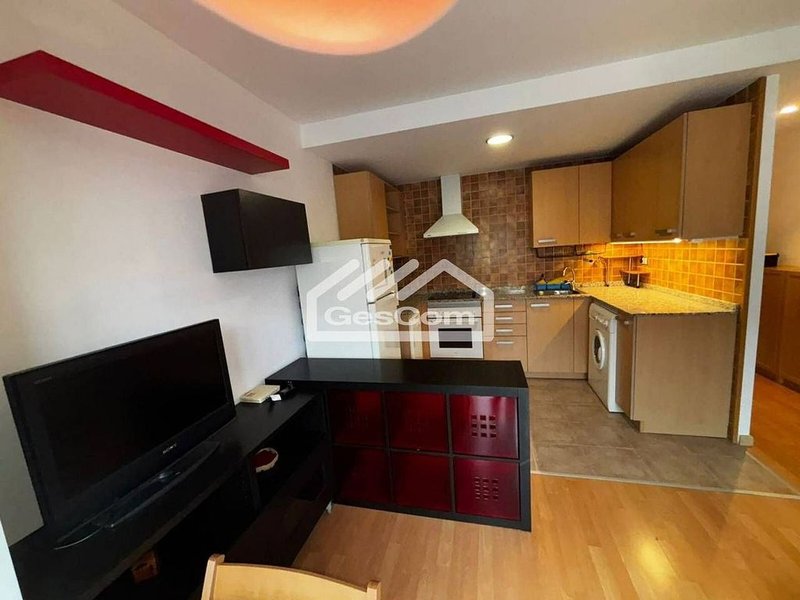 1-bedroom flat seasonal rent in Canillo · 29 of 60