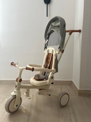 Triciclo Evolutivo Olmitos