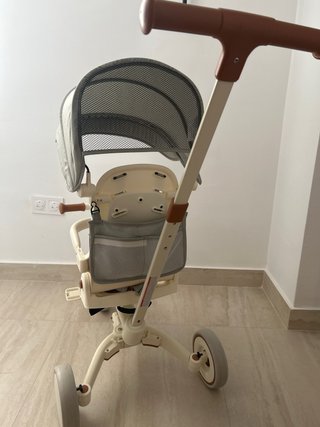 Triciclo Evolutivo Olmitos