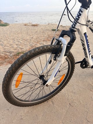 Bicicleta Giant XTC 24 pulgadas