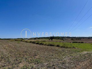 Solar en venta en Manacor Centro en Manacor