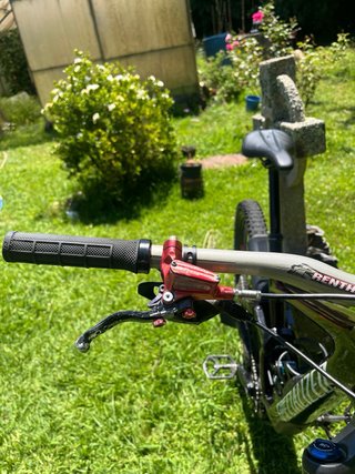 Specialized Enduro Comp Carbon 29 S3 Mejorada