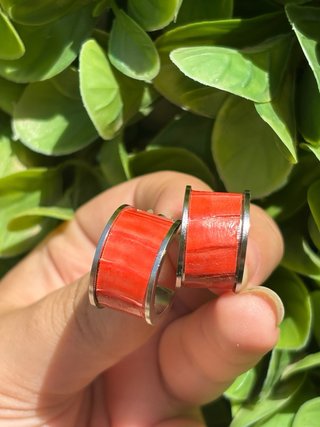 Aros Coral Plata