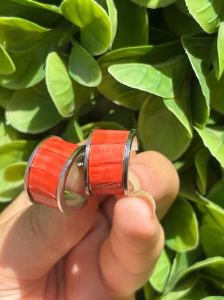 Aros Coral Plata