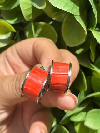 Aros Coral Plata