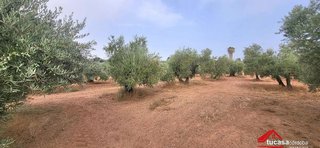 Terreno en venta en Montoro