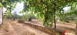 Terreno en venta en Montoro