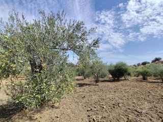 Terreno en venta en Coín