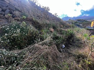 Terreno en venta en Buen Paso-La Mancha en Icod de los Vinos