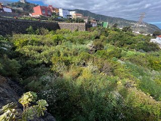 Terreno en venta en Buen Paso-La Mancha en Icod de los Vinos