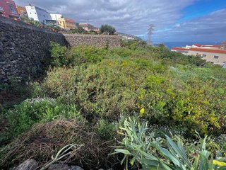 Terreno en venta en Buen Paso-La Mancha en Icod de los Vinos