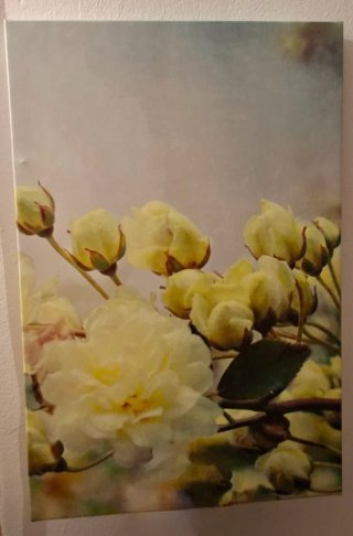 Cuadros Floral Ikea