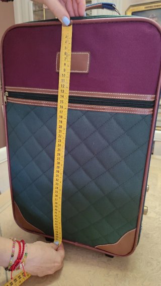 Maleta de cabina morada y verde
