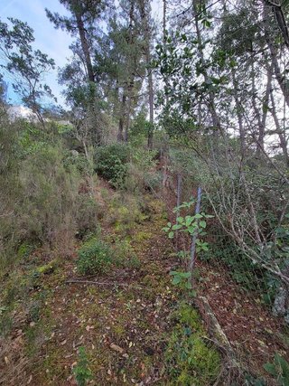 Casa rural en venta en Urbanitzacions en Lloret de Mar