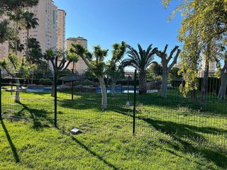 Piso en alquiler en Campello Pueblo en Campello (el)