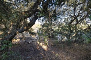 Cortijo en venta en Montefrío
