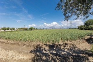 Terreno en venta en Casco Histórico en Churriana de la Vega