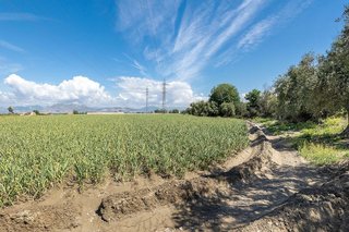 Terreno en venta en Casco Histórico en Churriana de la Vega