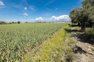Terreno en venta en Casco Histórico en Churriana de la Vega