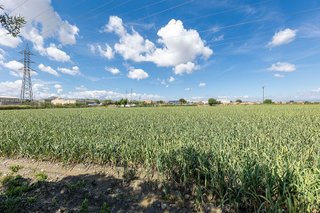 Terreno en venta en Casco Histórico en Churriana de la Vega
