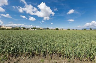 Terreno en venta en Casco Histórico en Churriana de la Vega