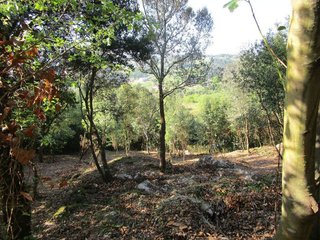 Terreno en venta en Lekeitio