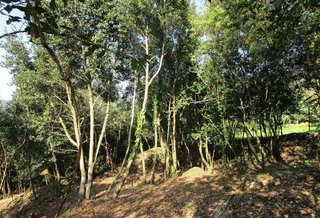Terreno en venta en Lekeitio