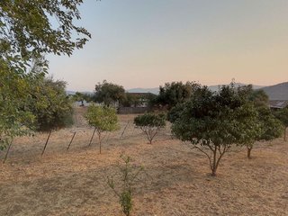 Terreno en venta en Ubrique