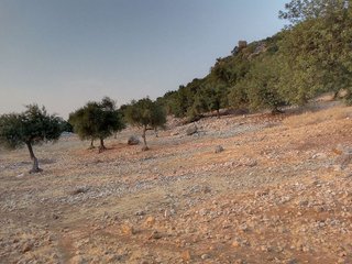 Terreno en venta en Ubrique