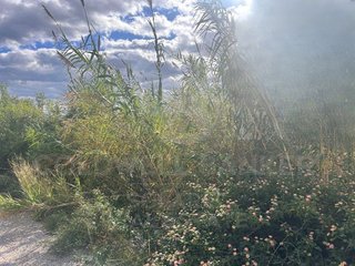 Terreno en venta en Pego