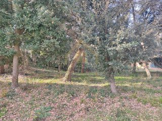 Terreno en alquiler en Sant Pere de Vilamajor